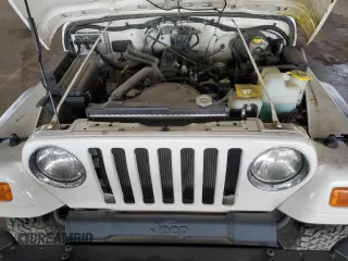 2002 Jeep Wrangler SE with VIN 1J4FA29P12P700276, listed as a Copart auction lot 45109175 with 115,139 mi miles and Salvage Title. Bid and sale history available at DreamBid. Image 11.