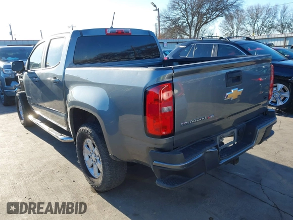 2019 Chevrolet Colorado 2WD Work Truck with VIN 1GCGSBEN9K1204074, listed as a IAAI auction lot 41389973 with 132,301 mi miles. Bid and sale history available at carsss.com. Image 3.
