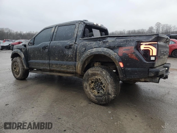 2024 Ford F-150 Raptor with VIN 1FTFW1RJ3RFB30519, listed as a Copart auction lot 45009115 with 15,151 mi miles and Salvage Title. Bid and sale history available at DreamBid. Image 2.