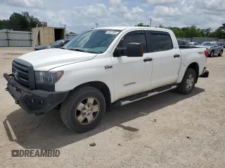 2010 Toyota Tundra with VIN 5TFEY5F17AX078389, listed as a Copart auction lot 61993225 with 182,425 mi miles and Salvage title. Bid and sale history available at DreamBid. Image 1.