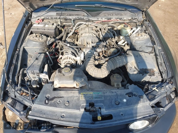 2005 Ford Mustang Deluxe with VIN 1ZVFT80N455247055, listed as a IAAI auction lot 42049726 with 182,342 mi miles and . Bid and sale history available at DreamBid. Image 10.