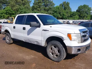 2013 Ford F-150 XL with VIN 1FTFW1EF1DFA80388, listed as a IAAI auction lot 42102637 with 234,706 mi miles. Bid and sale history available at carsss.com. Image 1.