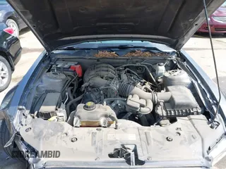 2014 Ford Mustang V6 с VIN 1ZVBP8AM5E5288545, выставлен на аукционе IAAI как лот 42494613 с пробегом 80 897 миль миль и . История ставок и продаж доступна на DreamBid. Изображение 10.