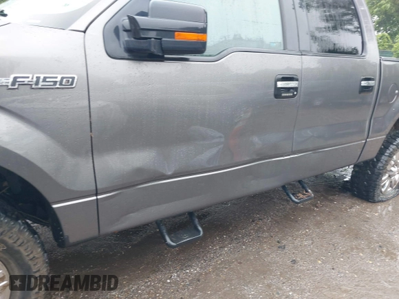 2012 Ford F-150 XL with VIN 1FTFW1EF9CFB92323, listed as a IAAI auction lot 42312910 with Not provided miles and . Bid and sale history available at DreamBid. Image 12.