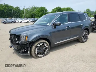 2024 Kia Telluride S с VIN 5XYP6DGC8RG542412, выставлен на аукционе Copart как лот 60595205 с пробегом 20 575 миль миль и Списание • Salvage title. История ставок и продаж доступна на DreamBid. Изображение 1.