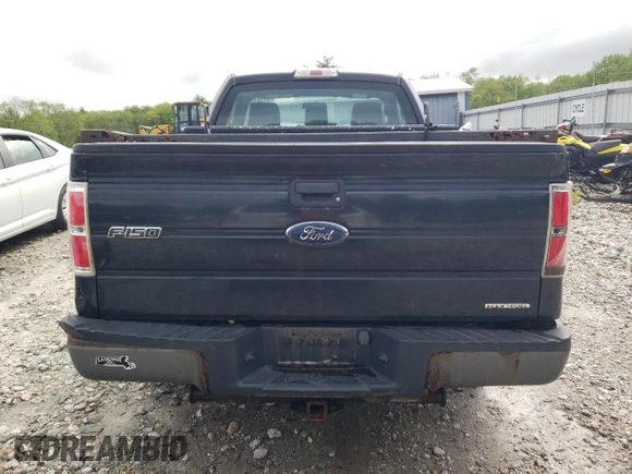 2013 Ford F-150 XL with VIN 1FTMF1CM7DFD51544, listed as a Copart auction lot 58138115 with 284,893 mi miles and Clean title. Bid and sale history available at DreamBid. Image 6.