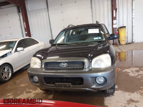 2004 Hyundai Santa Fe GLS with VIN KM8SC73D84U833286, listed as a IAAI auction lot 41644780 with 160,313 mi miles. Bid and sale history available at carsss.com. Image 12.