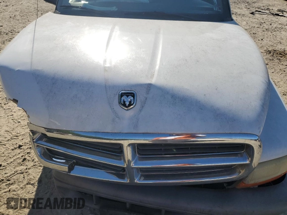 2004 Dodge Dakota with VIN 1D7FL16K14S554387, listed as a Copart auction lot 59397994 with 0 mi miles and Salvage Title. Bid and sale history available at carsss.com. Image 11.