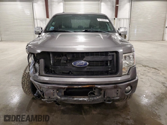 2013 Ford F-150 XL with VIN 1FTEX1EM6DFD11213, listed as a Copart auction lot 61350245 with 197,696 mi miles and Salvage title. Bid and sale history available at DreamBid. Image 5.