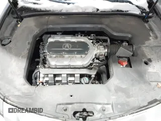 2009 Acura TL Tech with VIN 19UUA86559A006482, listed as a IAAI auction lot 41531597 with 203,255 mi miles. Bid and sale history available at carsss.com. Image 10.