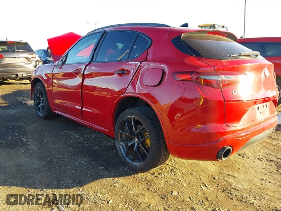 2020 Alfa Romeo Stelvio Sport with VIN ZASPAKAN8L7C87219, listed as a IAAI auction lot 40842412 with 0 mi miles. Bid and sale history available at carsss.com. Image 3.