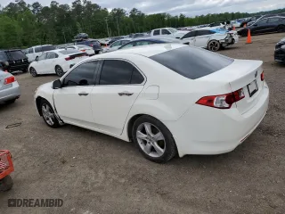 2010 Acura TSX with VIN JH4CU2F6XAC034325, listed as a Copart auction lot 51826395 with 189,032 mi miles and Salvage Title. Bid and sale history available at carsss.com. Image 2.