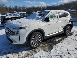 2021 Hyundai Santa Fe Hybrid SEL Premium with VIN KM8S3DA1XMU009491, listed as a Copart auction lot 85201774 with 45,961 mi miles and Salvage Title. Bid and sale history available at carsss.com. Image 1.