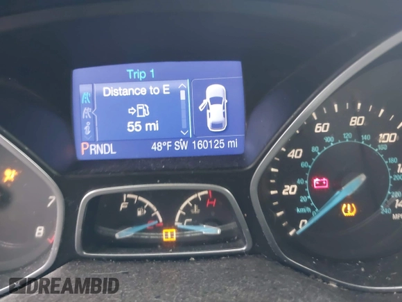 2013 Ford Focus SE with VIN 1FADP3F25DL221207, listed as a IAAI auction lot 41209646 with 160,125 mi miles and . Bid and sale history available at DreamBid. Image 15.