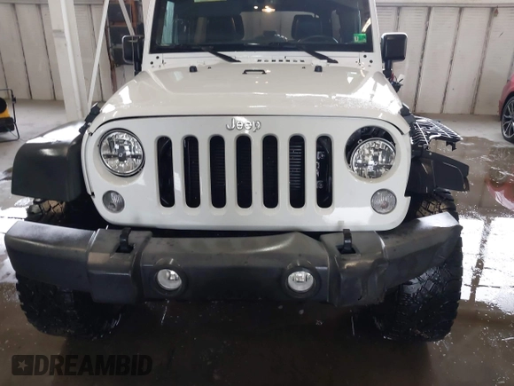2016 Jeep Wrangler Unlimited Rubicon with VIN 1C4HJWFG4GL127379, listed as a IAAI auction lot 41732688 with 110,193 mi miles. Bid and sale history available at carsss.com. Image 18.