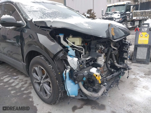 2022 Honda CR-V EX with VIN 5J6RW2H59NL004856, listed as a IAAI auction lot 41370748 with 41,487 mi miles. Bid and sale history available at carsss.com. Image 6.