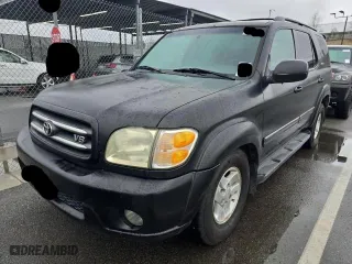 2002 Toyota Sequoia Limited with VIN 5TDZT38A62S103663, listed as a Copart auction lot 48829715 with 319,624 mi miles and Clean Title. Bid and sale history available at carsss.com. Image 2.