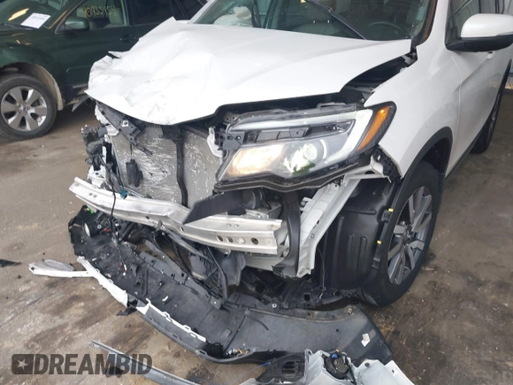 2022 Honda Pilot EX-L with VIN 5FNYF6H58NB097283, listed as a IAAI auction lot 40944566 with 22,027 mi miles and . Bid and sale history available at DreamBid. Image 6.