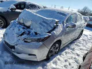 2020 Nissan LEAF SV Plus with VIN 1N4BZ1CP0LC309828, listed as a Copart auction lot 89184875 with Not Provided miles and Salvage Title. Bid and sale history available at DreamBid. Image 1.