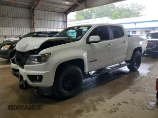 2019 Chevrolet Colorado 2WD LT with VIN 1GCGSCEN3K1169649, listed as a Copart auction lot 64862795 with 64,018 mi miles and Salvage title. Bid and sale history available at DreamBid. Image 1.