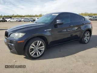 2010 BMW X6 M with VIN 5YMGZ0C50ALK13565, listed as a Copart auction lot 81646874 with 125,113 mi miles and Salvage Title. Bid and sale history available at carsss.com. Image 1.