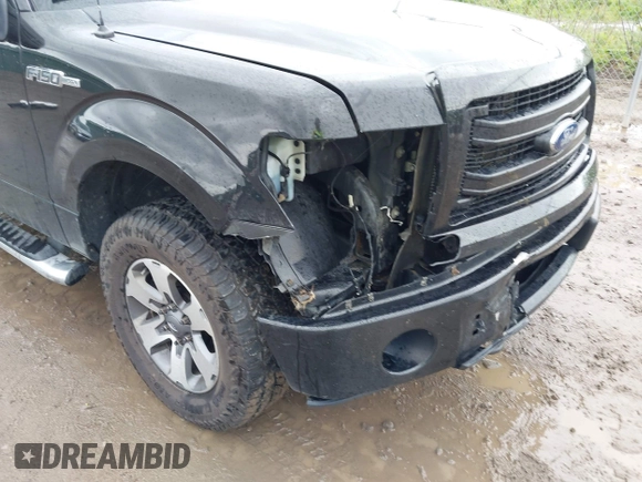2013 Ford F-150 XL with VIN 1FTFX1EF7DFB34130, listed as a IAAI auction lot 42340765 with 266,185 mi miles and . Bid and sale history available at DreamBid. Image 6.