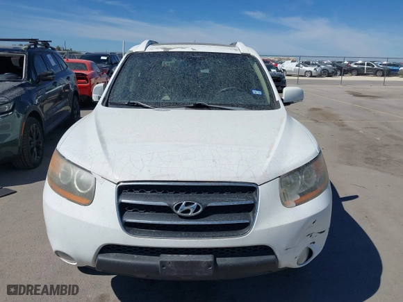 2008 Hyundai Santa Fe SE with VIN 5NMSH13E48H194784, listed as a IAAI auction lot 41824245 with 199,238 mi miles. Bid and sale history available at carsss.com. Image 6.