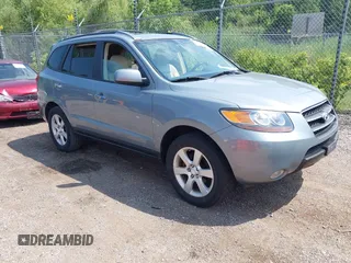 2007 Hyundai Santa Fe SE with VIN 5NMSH13E57H094806, listed as a IAAI auction lot 42798794 with 113,232 mi miles and . Bid and sale history available at DreamBid. Image 1.