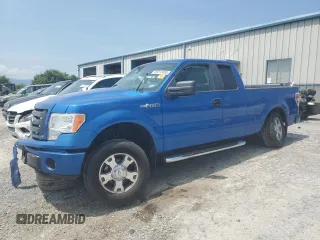 2010 Ford F-150 XL with VIN 1FTEX1EW1AFA49324, listed as a Copart auction lot 65012455 with Not provided miles and Salvage title. Bid and sale history available at DreamBid. Image 1.