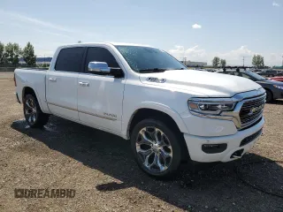 2019 Ram 1500 Limited with VIN 1C6SRFHT3KN663365, listed as a Copart auction lot 61446635 with 231,875 mi miles and Clean title. Bid and sale history available at DreamBid. Image 4.