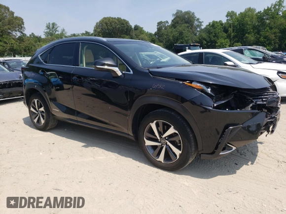 2019 Lexus NX 300h with VIN JTJBJRBZ3K2104833, listed as a Copart auction lot 60266395 with 109,030 mi miles and Salvage title. Bid and sale history available at DreamBid. Image 4.