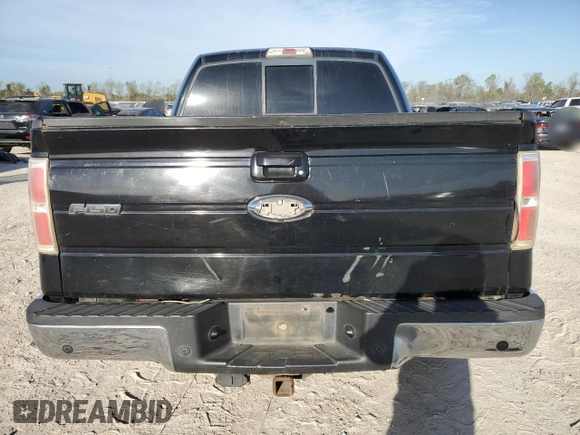 2009 Ford F-150 XL with VIN 1FTPW12V79FA10854, listed as a Copart auction lot 48984995 with 249,424 mi miles and Salvage Title. Bid and sale history available at carsss.com. Image 6.