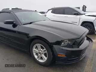 2014 Ford Mustang V6 z VIN 1ZVBP8EM2E5330955, wystawiony jako IAAI lot #41567236 z przebiegiem 17 365 mil mil oraz . Historia ofert i sprzedaży dostępna na DreamBid. Obrazek 17.