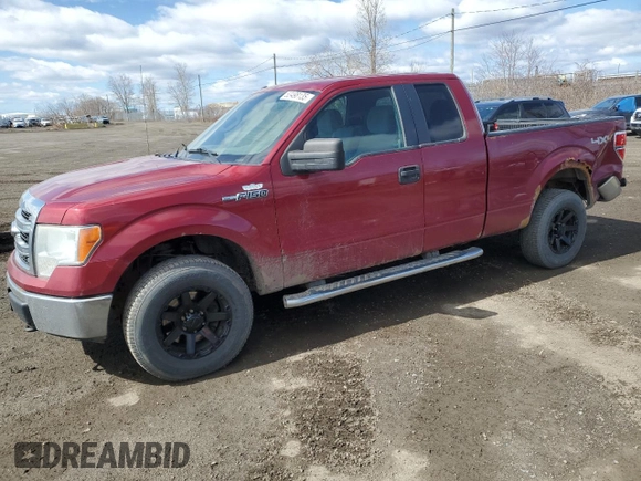 2013 Ford F-150 XL with VIN 1FTFX1EF0DFB86523, listed as a Copart auction lot 53498135 with 460,305 mi miles and Salvage title. Bid and sale history available at DreamBid. Image 1.