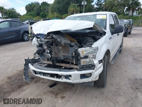 2017 Ford F-150 XL with VIN 1FTEW1CF6HFA51201, listed as a IAAI auction lot 38205513 with 313,459 mi miles. Bid and sale history available at carsss.com. Image 12.