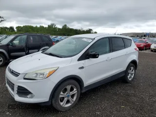2013 Ford Escape SE with VIN 1FMCU0GX4DUD17567, listed as a Copart auction lot 57110625 with 163,597 mi miles and Salvage title. Bid and sale history available at DreamBid. Image 1.