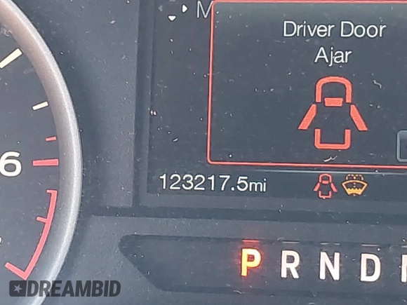 2019 Ford F-150 XL with VIN 1FTEW1C47KKE35050, listed as a IAAI auction lot 42684676 with 123,217 mi miles and . Bid and sale history available at DreamBid. Image 16.