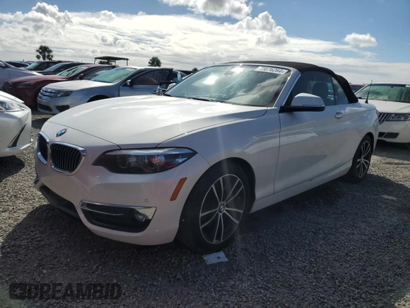 2020 BMW 2 Series 230i with VIN WBA2M7C02L7D87129, listed as a Copart auction lot 73876264 with 0 mi miles and Salvage Title. Bid and sale history available at carsss.com. Image 1.
