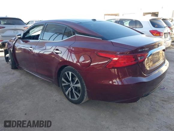 2017 Nissan Maxima SV with VIN 1N4AA6AP0HC442695, listed as a IAAI auction lot 41736289 with 124,423 mi miles. Bid and sale history available at carsss.com. Image 3.