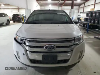 2011 Ford Edge SEL with VIN 2FMDK3JC5BBA43297, listed as a Copart auction lot 46117515 with 164,416 mi miles and Salvage Title. Bid and sale history available at DreamBid. Image 5.