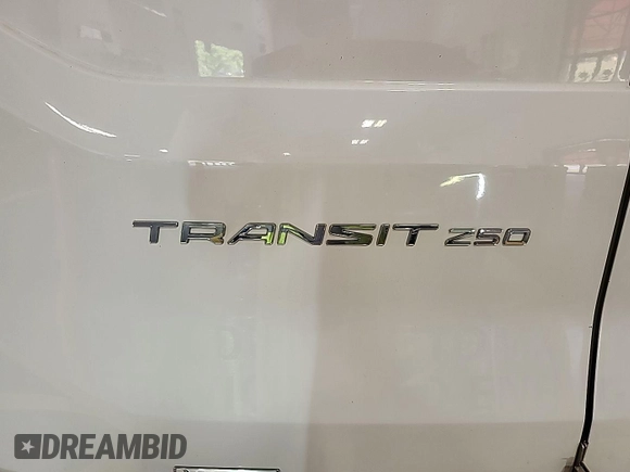 2019 Ford Transit with VIN 1FTYR1YG9KKB48137, listed as a IAAI auction lot 42723318 with 114,994 mi miles and . Bid and sale history available at DreamBid. Image 21.