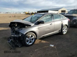 2013 Ford Focus SE with VIN 1FADP3F20DL258200, listed as a Copart auction lot 89394285 with 0 mi miles and Salvage Title. Bid and sale history available at carsss.com. Image 1.