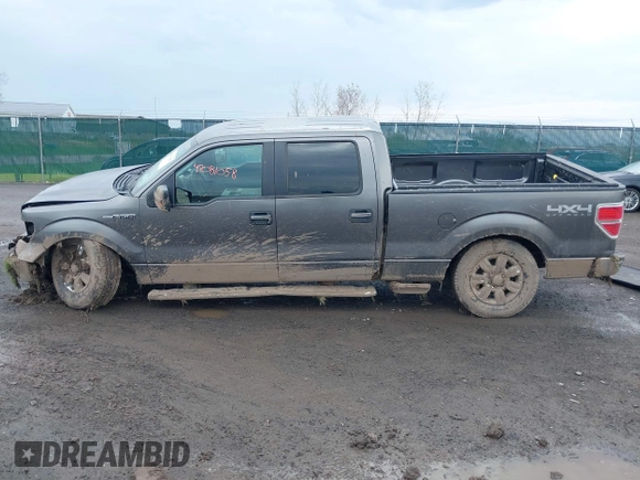 2011 Ford F-150 XL with VIN 1FTFW1EF8BFD03930, listed as a IAAI auction lot 42081058 with 114,241 mi miles. Bid and sale history available at carsss.com. Image 14.