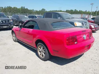 2008 Ford Mustang Deluxe with VIN 1ZVHT84N685189280, listed as a IAAI auction lot 42054118 with Not provided miles and . Bid and sale history available at DreamBid. Image 3.