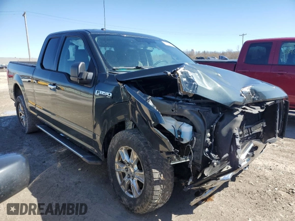 2015 Ford F-150 XLT with VIN 1FTFX1EF7FFC13171, listed as a Copart auction lot 53156575 with 145,292 mi miles and Salvage title. Bid and sale history available at DreamBid. Image 4.