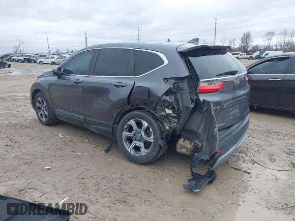 2019 Honda CR-V EX with VIN 2HKRW1H51KH516045, listed as a IAAI auction lot 41834293 with 113,438 mi miles. Bid and sale history available at carsss.com. Image 3.