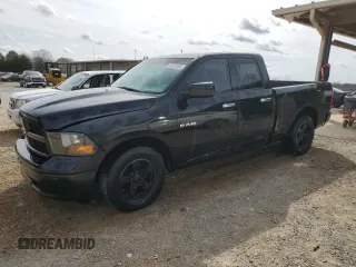 2009 Dodge 1500 SLT with VIN 1D3HB18P29S762937, listed as a Copart auction lot 49010265 with 183,193 mi miles and Salvage Title. Bid and sale history available at carsss.com. Image 1.