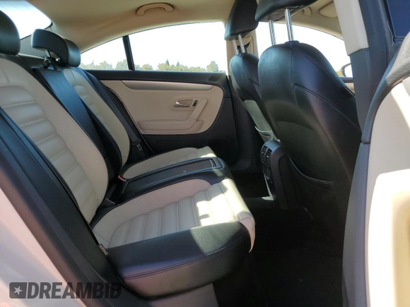2010 Volkswagen CC with VIN WVWMP9AN1AE559959, listed as a Copart auction lot 76203974 with 188,396 mi miles and Salvage Title. Bid and sale history available at DreamBid. Image 10.
