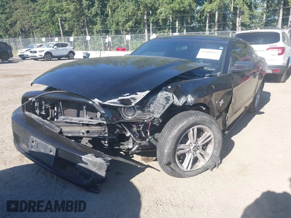 2013 Ford Mustang V6 with VIN 1ZVBP8AM3D5269846, listed as a IAAI auction lot 42460827 with 80,934 mi miles and . Bid and sale history available at DreamBid. Image 6.