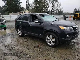 2013 Kia Sorento EX with VIN 5XYKUDA63DG351184, listed as a Copart auction lot 46623205 with 126,102 mi miles and Salvage Title. Bid and sale history available at carsss.com. Image 12.